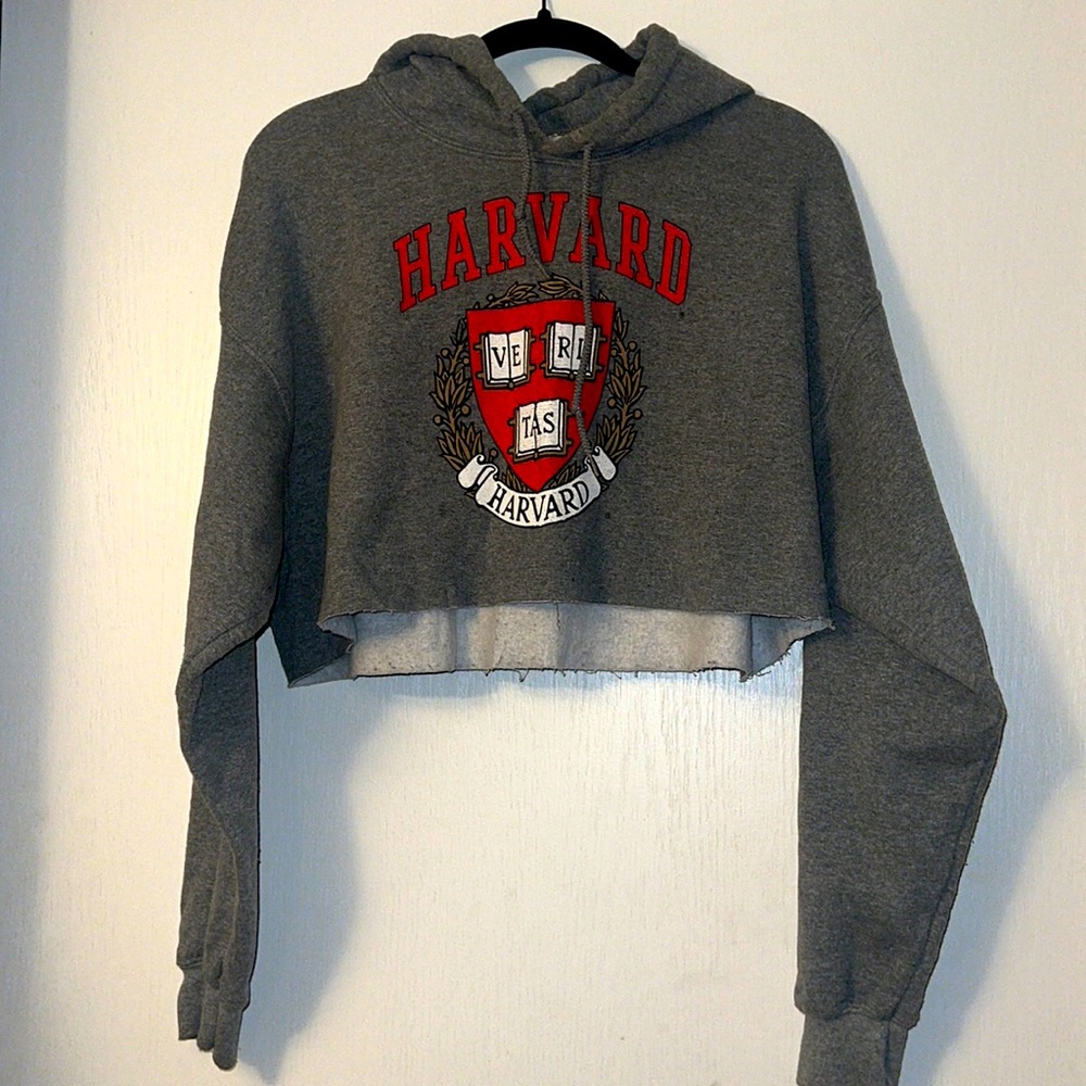 Cropped Harvard Hoodie. Size Large in Juniors. Grey.